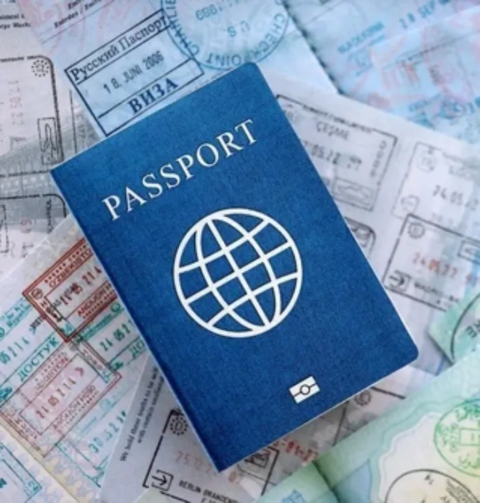 Travel requirements (3)